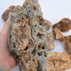 Graveyard Point Plume Agate