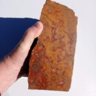 Morgan Hill Poppy Jasper