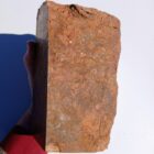 Morgan Hill Poppy Jasper