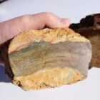 Carrasite Jasper