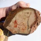 Carrasite Jasper