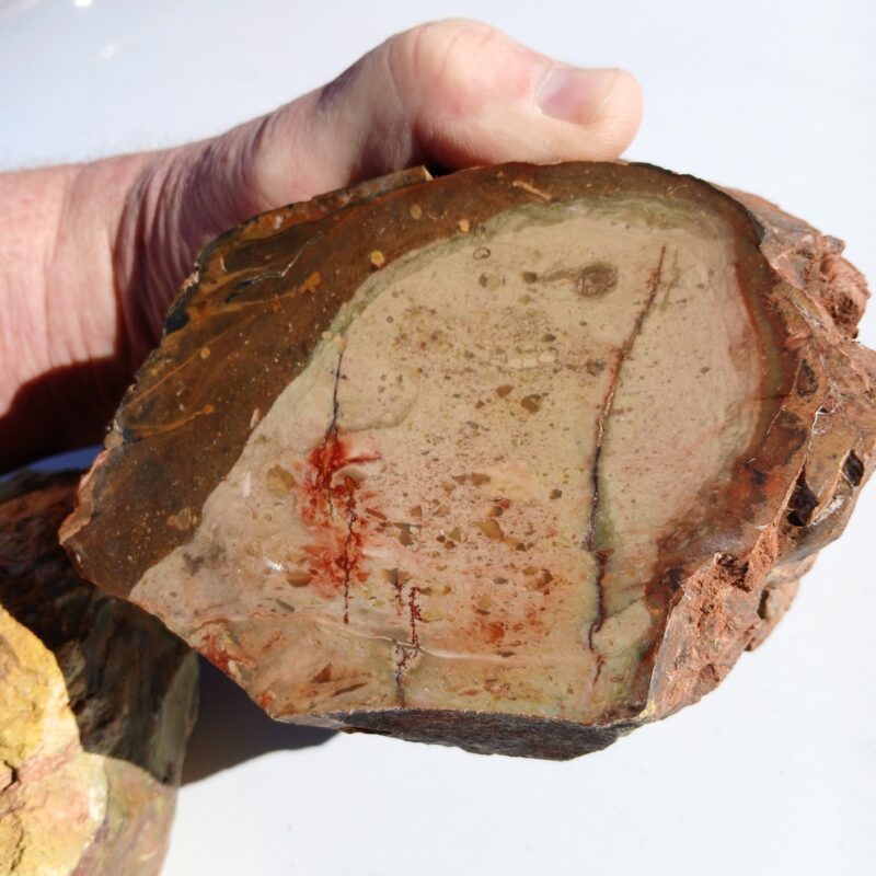 Carrasite Jasper