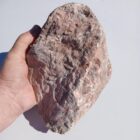 Kona Dolomite with Stromatolites