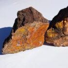 Petrified Wood from DoBell Ranch