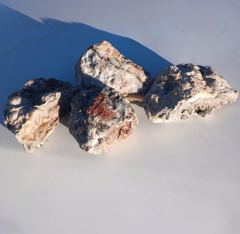 Bubble Lace Agate Bubble Lace Agate