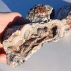 Bubble Lace Agate