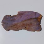 Burro Creek jasper