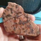 Kona Dolomite With Stromatolites