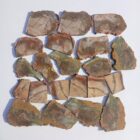 Carrasite Jasper
