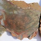 Carrasite Jasper