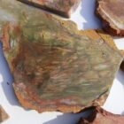 Carrasite Jasper